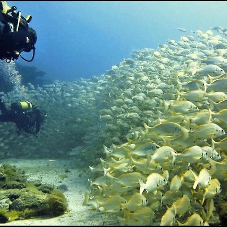 Puerto De Mogan Castillete 4 Dış mekan fotoğraf