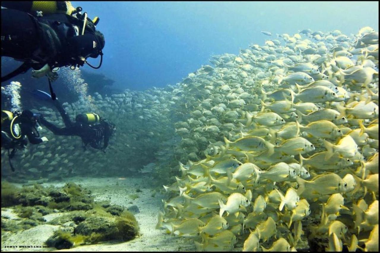 Puerto De Mogan Castillete 4 Dış mekan fotoğraf